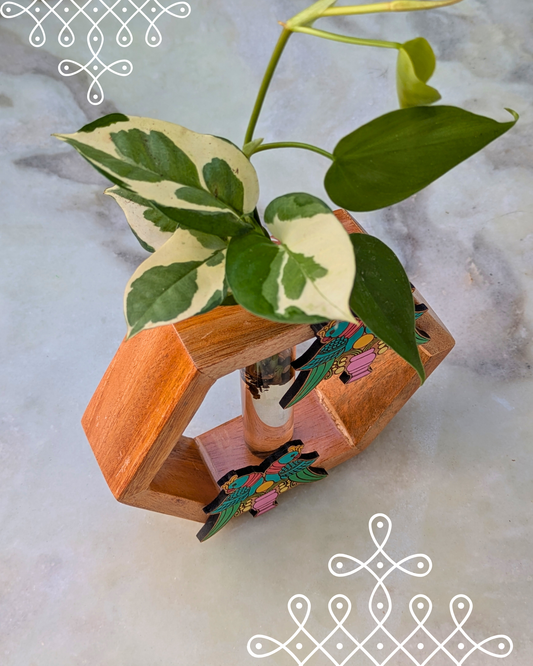 Hexagon Planter - Rettai Kizhi