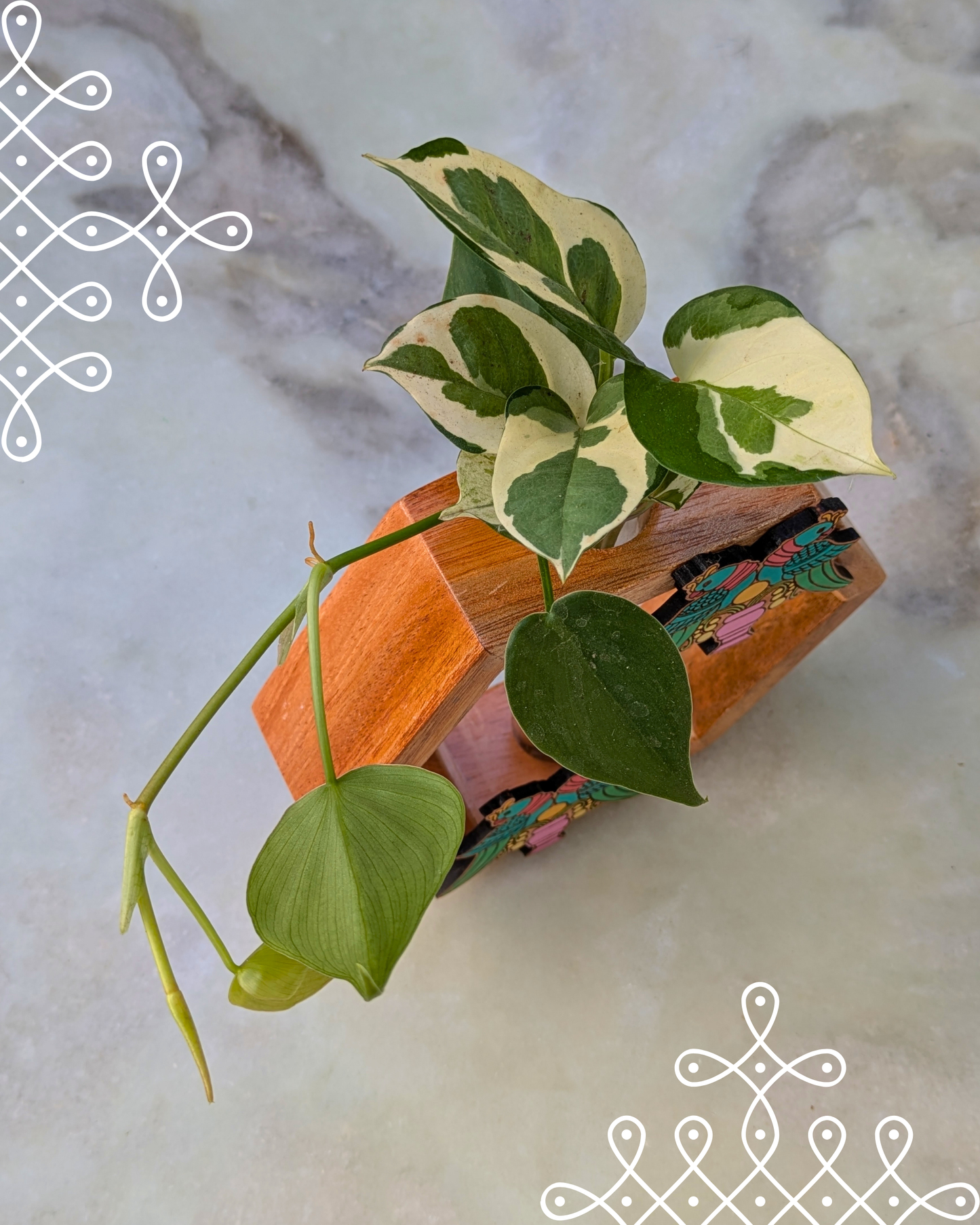 Kolam Hexagon planter - double parrot PL-HEXDP