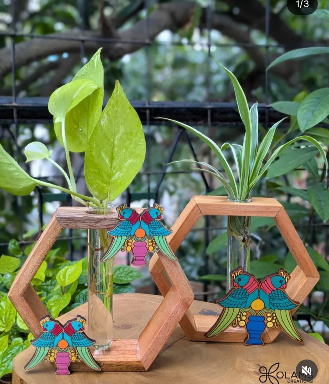 Hexagon planter